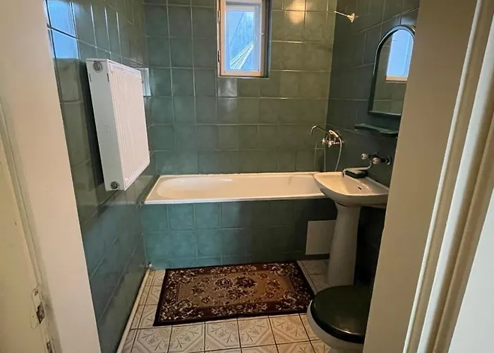 річкова * 波利亚纳